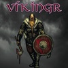 Vik001-vikingr_1000