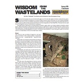 Wisdom from the Wastelands Issue #6: Factions