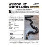 Wisdom from the Wastelands Issue #15: Robots Part 1
