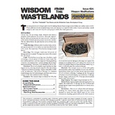 Wisdom from the Wastelands Issue #24: Weapon Modifications
